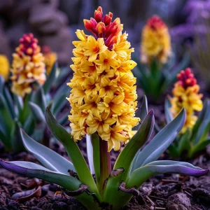 Гиацинт Миднайт Мистери купить по цене от 2099р. в интернет-магазине «Посадика» с доставкой почтой в в Свирске и по всей России – [изображение №1].